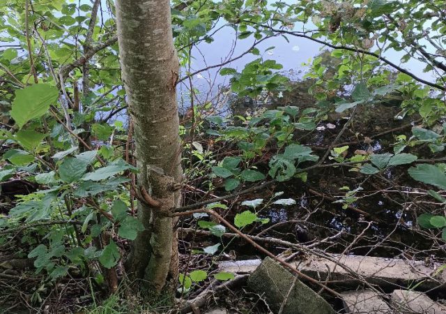 230708_nachtangeln_img005