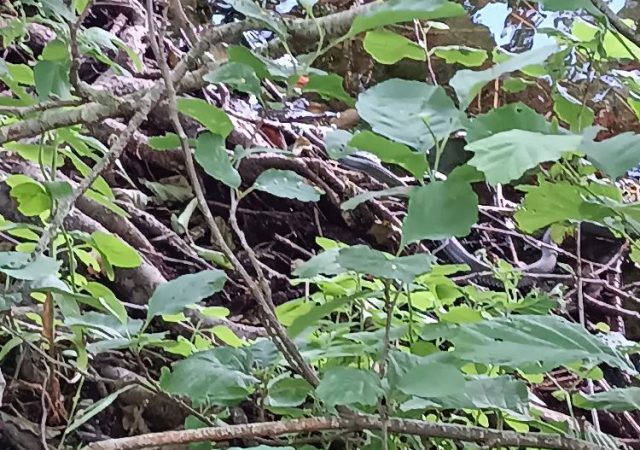 230708_nachtangeln_img006