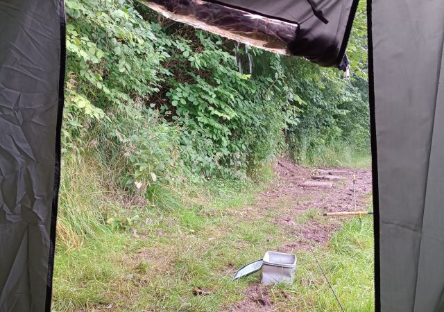 240713_nachtangeln_img08