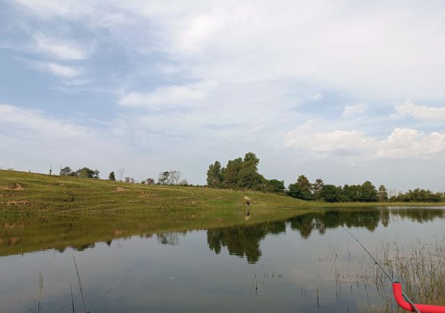 240908_abangeln_img03