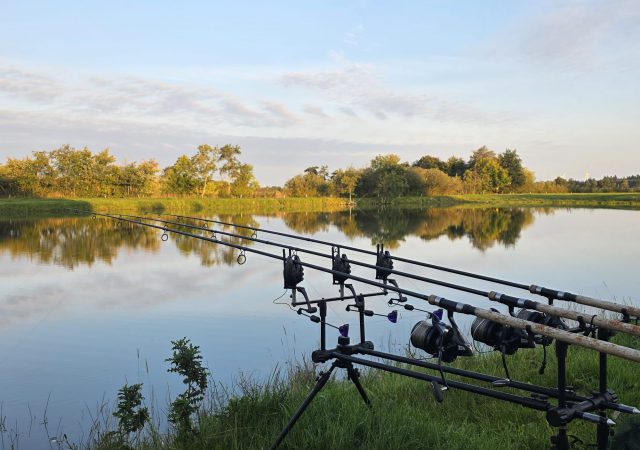 250928_abangeln_img003